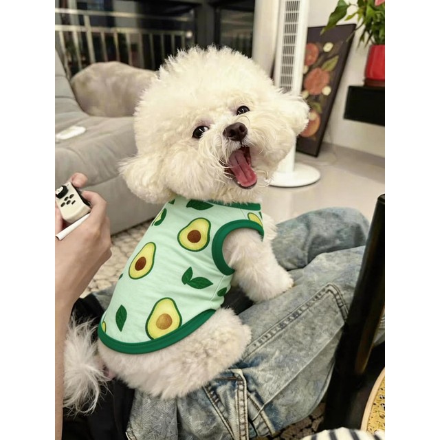 여름 얇은 조끼 강아지 옷 자외선 차단 곰 테디 털빠짐 방지 만화 아보카도 통기성 강아지 애완견 의류 캐주얼 스타일