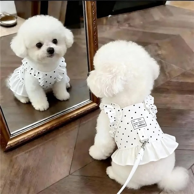 강아지 목줄 여름 야외 특별 소형견 강아지 비숑 테디 애완견 가슴줄 조끼 스타일 워킹 로프 폴리에스터 신축성