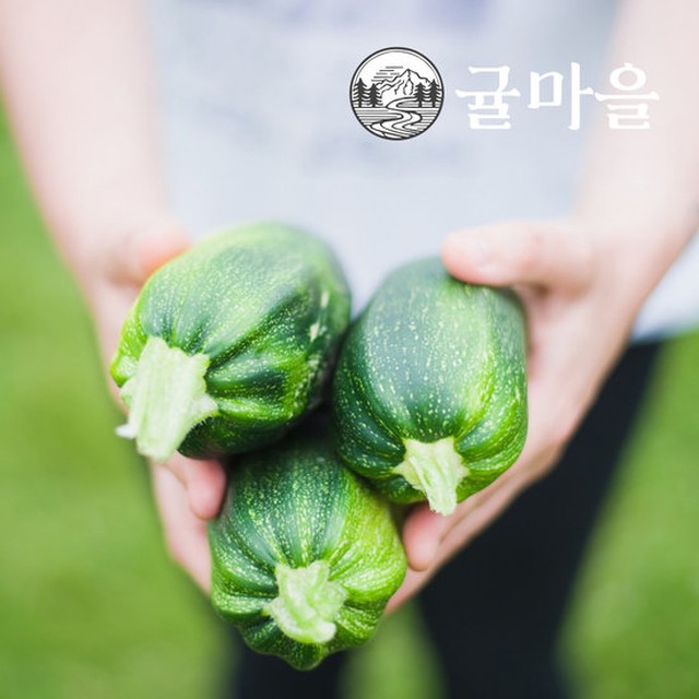 국내산 가정용 애호박 5개