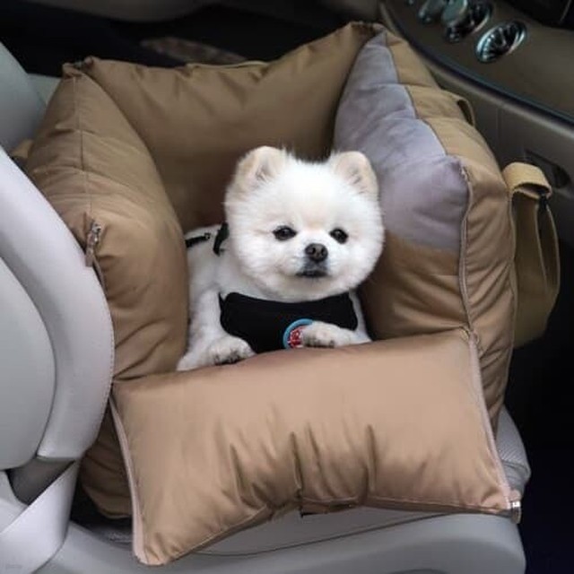 애견 강아지 카시트 패리스독 이동가방 드라이빙킷 사계절용