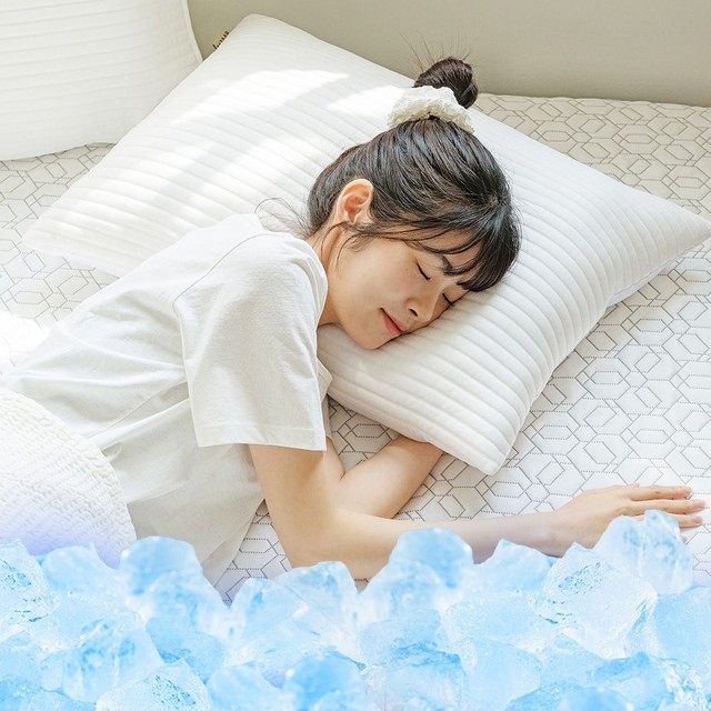 바자르 스노우쿨 3중직 아이스 냉감 여름 베개커버 밴딩형 기본형