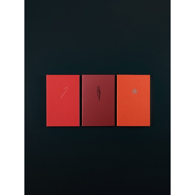 숍이호스 LE TYPOGRAPHE 3권 세트 공책 SOFT NOTEBOOKS 지팡이,당근,별 문구 노트
