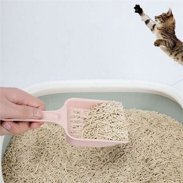 반려동물 고양이 화장실 삽 촘촘한 고양이 모래 삽 배변 청소