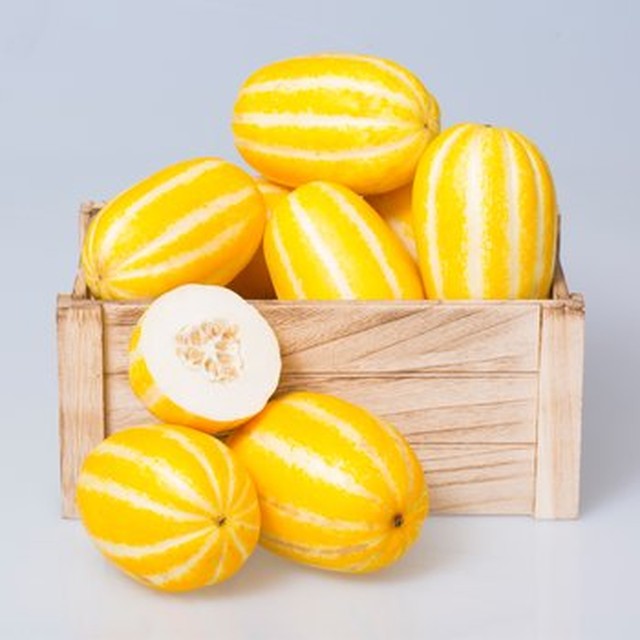 참외 5kg