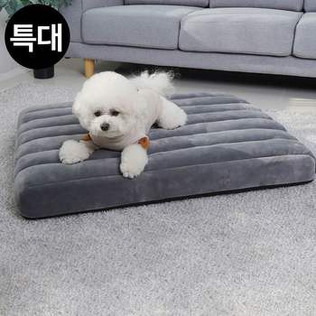 제이큐 레드퍼피 강아지침대 쿠쿠스 침대쿠션 그레이 특