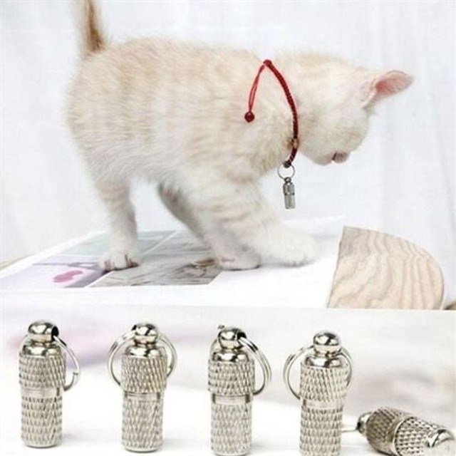 강아지 인식표 5개입 강아지 목걸이 반려동물 이름표 반려견 고양이 목줄