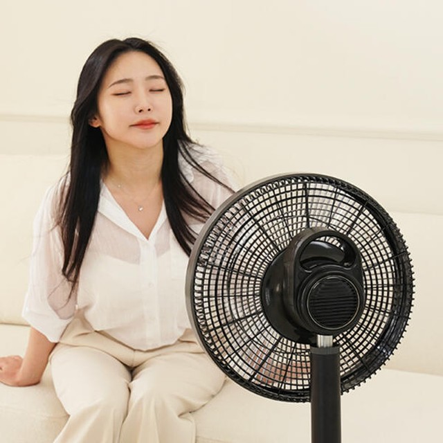 신일산업 신일선풍기 스탠드선풍기 가정용선풍기 저소음 BLDC