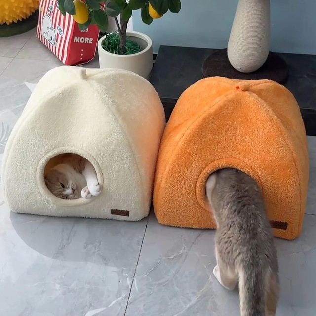 두꺼운 동굴 스타일 고양이 둥지 겨울 따뜻한 텐트 강아지 침대 소형 애완동물 쉼터 변형 방지 아늑한 색상 높은 탄력성