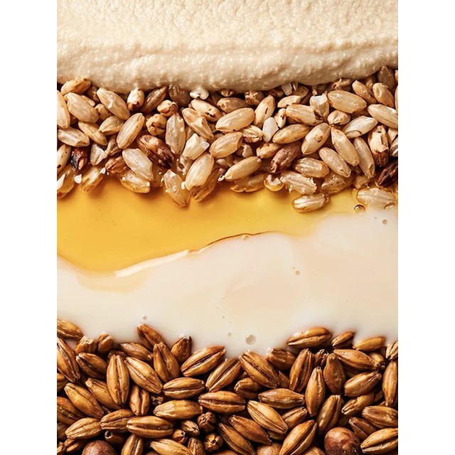 밸런슬로우 마시는 아침 식사 9AM 비타그레인 48개입 식단관리 식단 샐러드