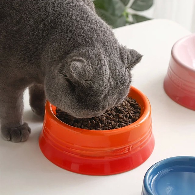르크루제 애완동물 높이 조절 가능한 그릇 낮은 높이 그릇 고양이 물그릇 강아지 목 보호 용품 프랑스 스타일 세라믹 식기