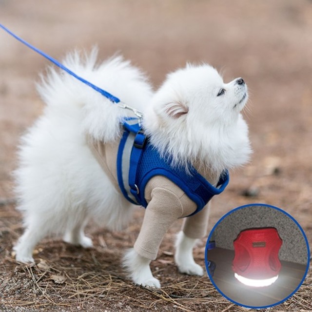 강아지 하네스 가슴줄 리드줄 블루