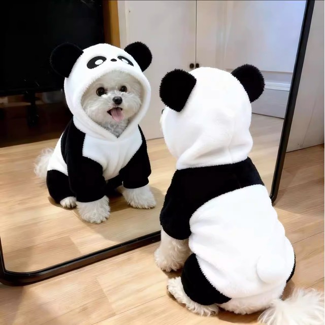 귀여운 팬더 강아지 옷 겨울 따뜻한 모자 네 발 테디 비숑 슈나우저 소형견 고양이 면옷 애모르 애완용품