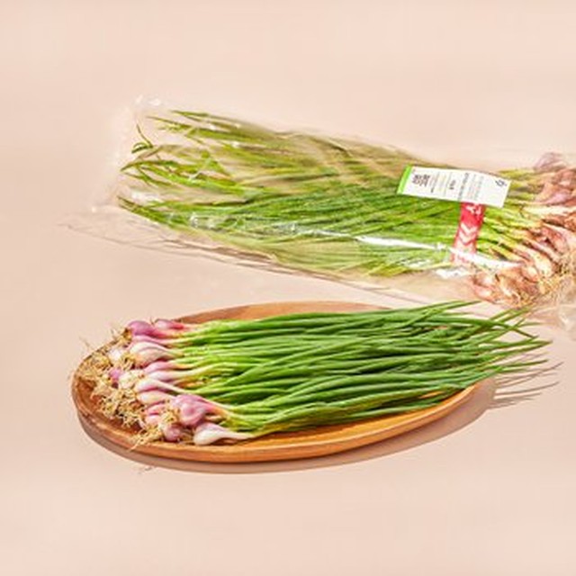 대용량 흙쪽파 500g