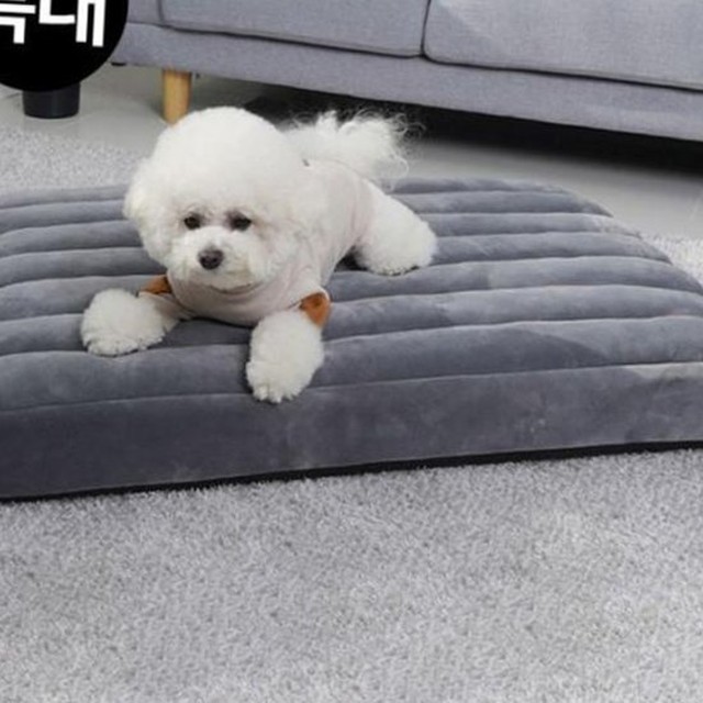 레드퍼피 강아지침대 쿠쿠스 침대쿠션 그레이 특