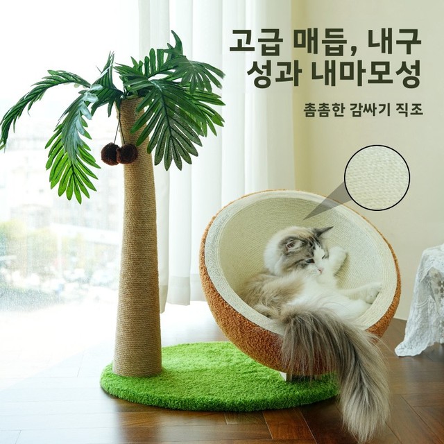 코코넛 나무 통합형 캣타워 둥지 달걀껍질 점핑 플랫폼 스크래칭 보드 로프 소형 공간 절약 가정용
