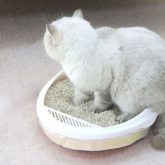 고양이 화장실 봉투 3롤 세트 고양이모래봉투