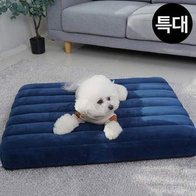 제이큐 레드퍼피 강아지침대 쿠쿠스 침대쿠션 네이비 특