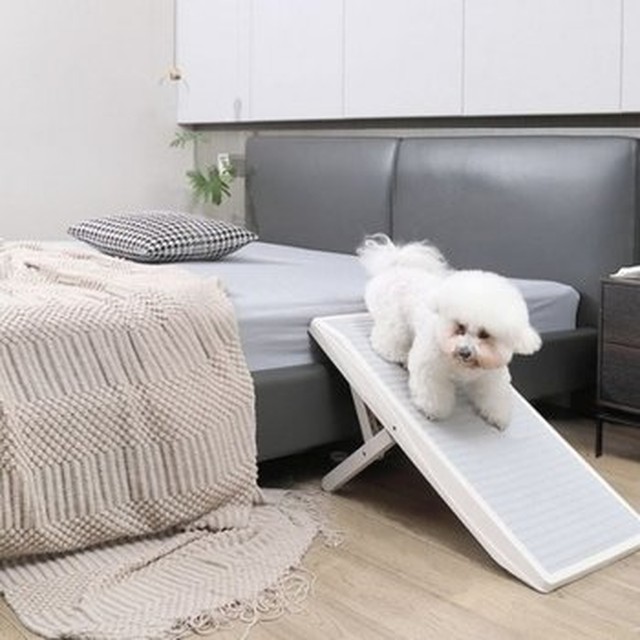 (옵션 80X40cm)애완견계단 강아지스텝 침대강아지계단