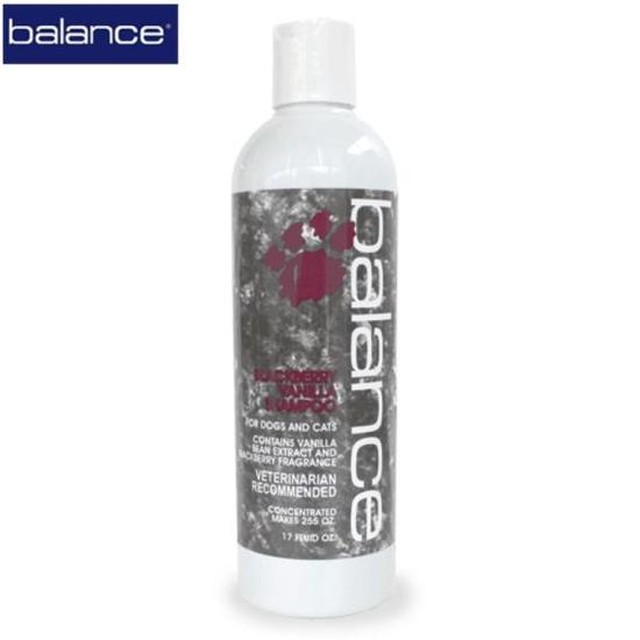 린스추천 바란스 블랙베리 바닐라샴푸 (보습) 503ml