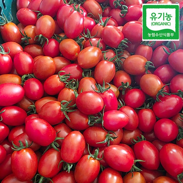 [엠픽] 산지직송 친환경 대추방울토마토 500g*2팩