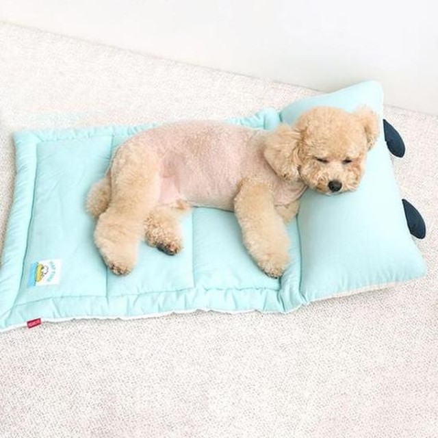 반려 스누피 패리스독 낮잠베드 블루 강아지침대 강아지쿠션 강아지하우스