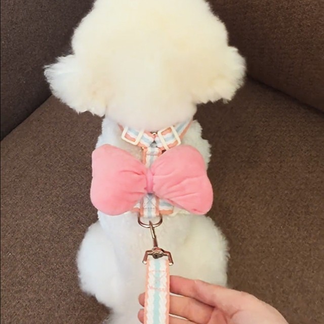 강아지 목줄 조끼 스타일 소형견 비숑 테디 나비 매듭 애완동물 하네스 탈출 방지 워킹 로프 아모르 브랜드 일반 사양
