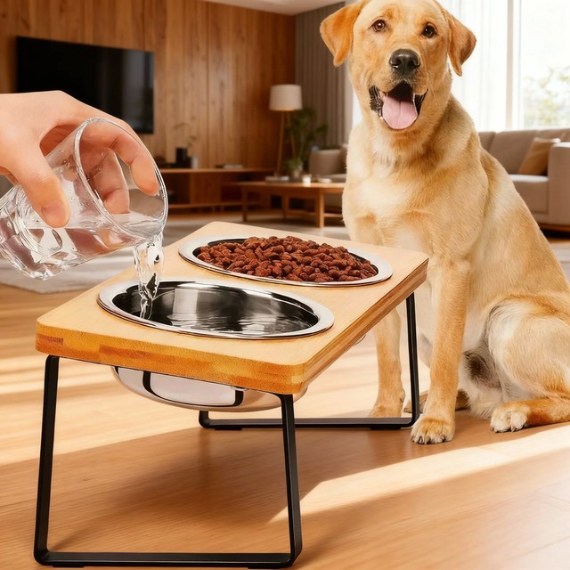 고양이 급식대 나무 15 ° 기울어진 반려동물 밥그릇 스탠드, 2 3 스테인리스 스틸 그릇, 목 보호 기능, 반려동물 급식기, 반려동물 용품