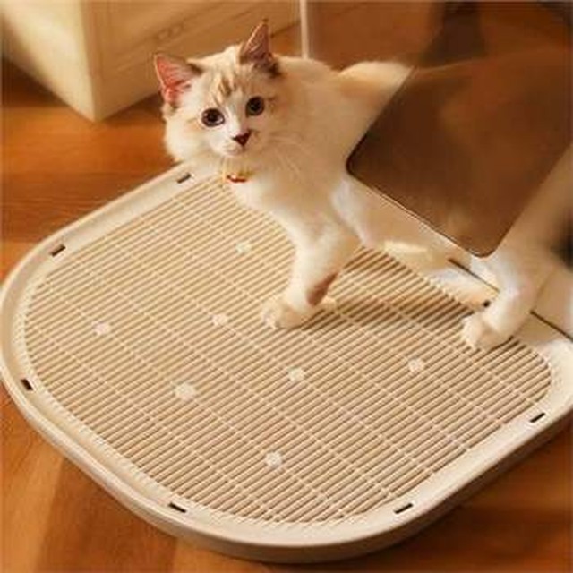 고양이 모래 발판 고양이 샌드 매트 반려동물 화장실 배변용 포집 WFPFHNR