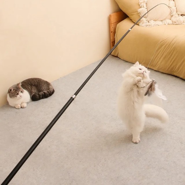 확장형 텔레스코픽 고양이 장난감 막대 1.8m 스크래치 방지 애완동물 용품 활동적인 고양이를 위한 깃털이 달린 텔레스코픽 낚싯대